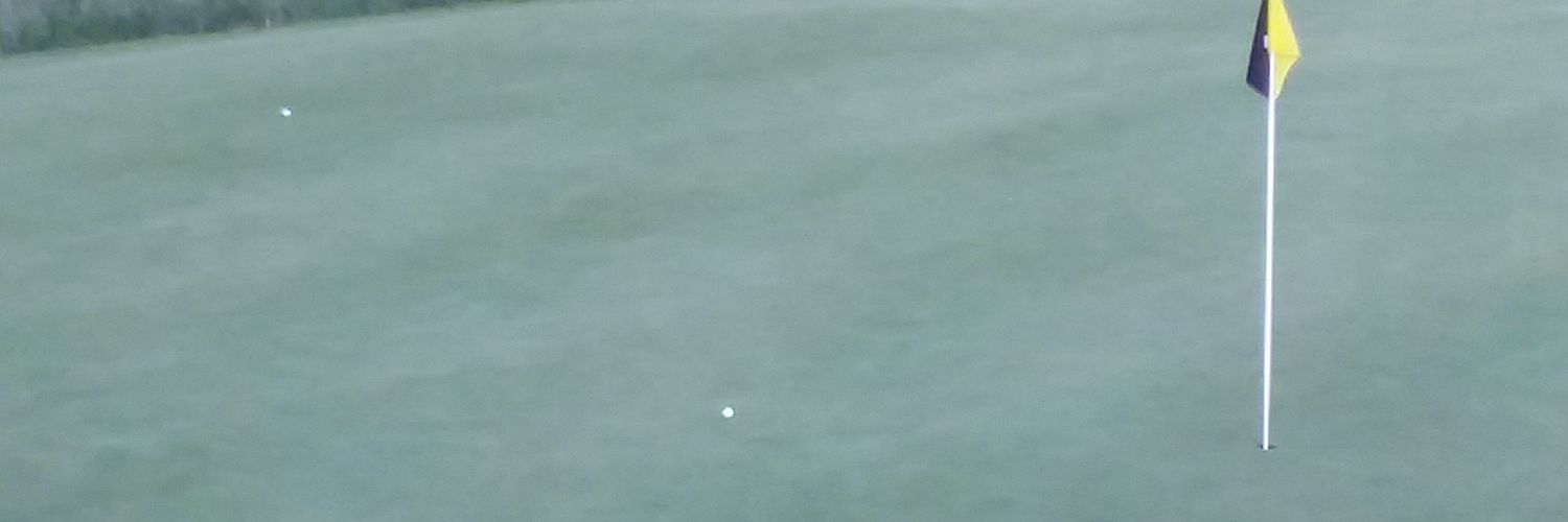 Contrarian82's profile banner image