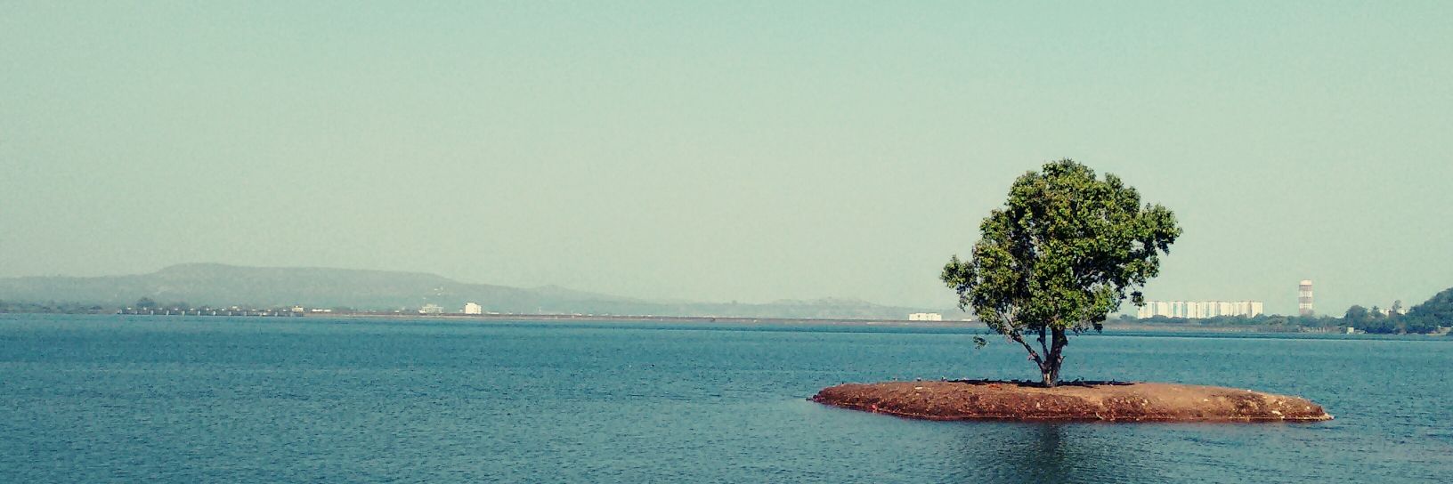 mu_mohit's profile banner image