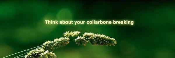 colinbreazeale's profile banner image