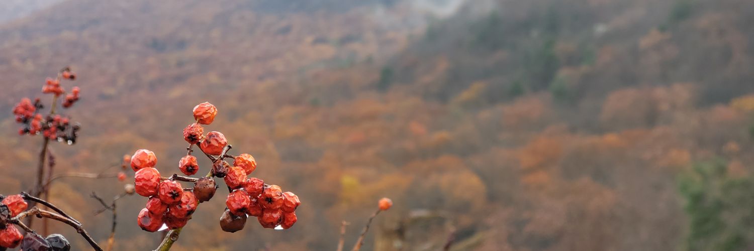 mitem9106's profile banner image