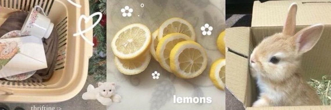 leeanspencil's profile banner image