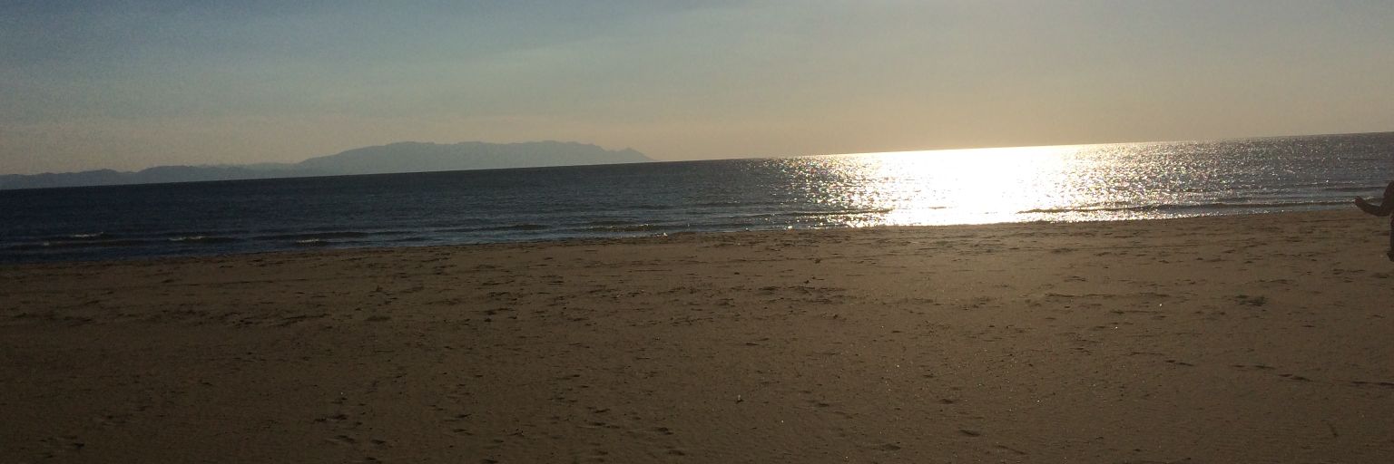 ser4sker's profile banner image