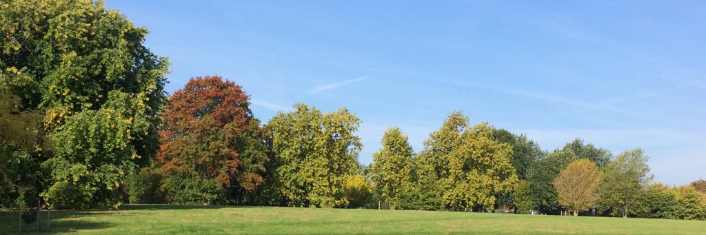 Sara Simblett banner