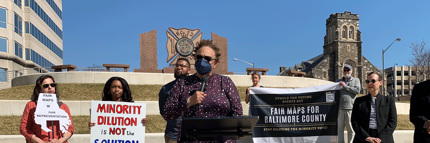 Dana Vickers Shelley banner