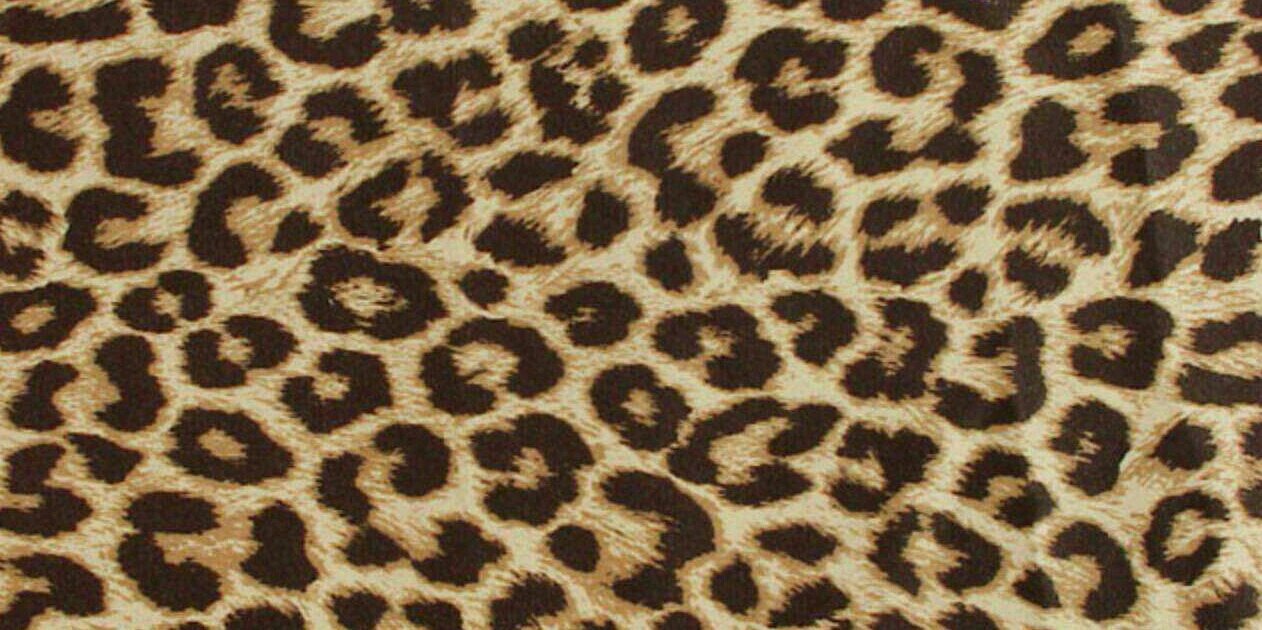 N115Ak's profile banner image