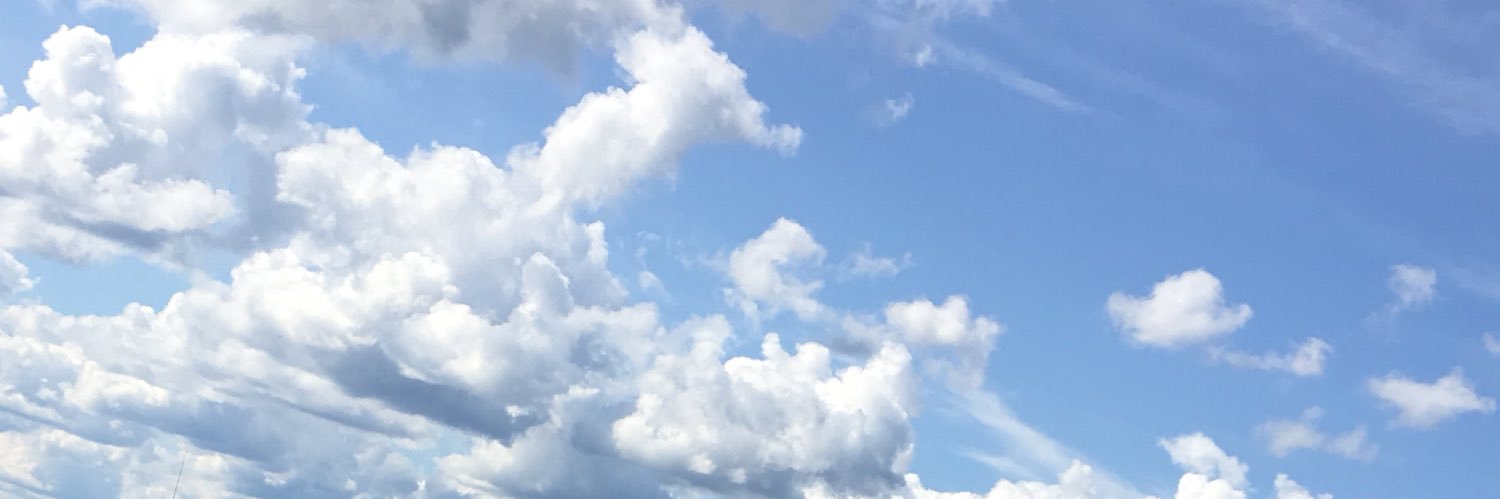 lidenj's profile banner image