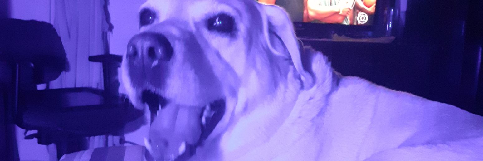 pedropcosta9's profile banner image