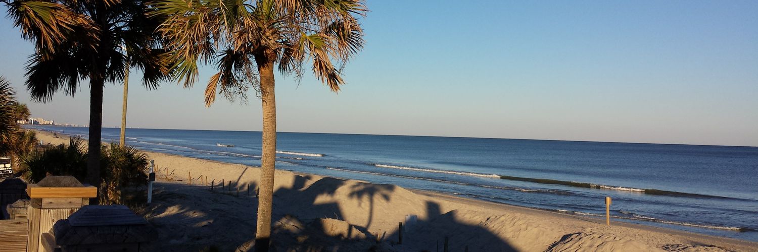 lovingonreedus's profile banner image