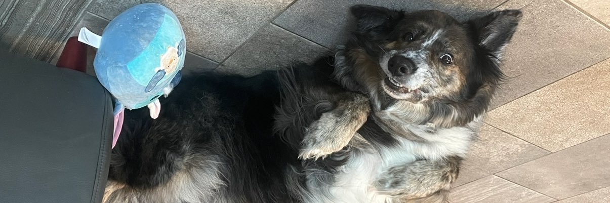 21savyage's profile banner image