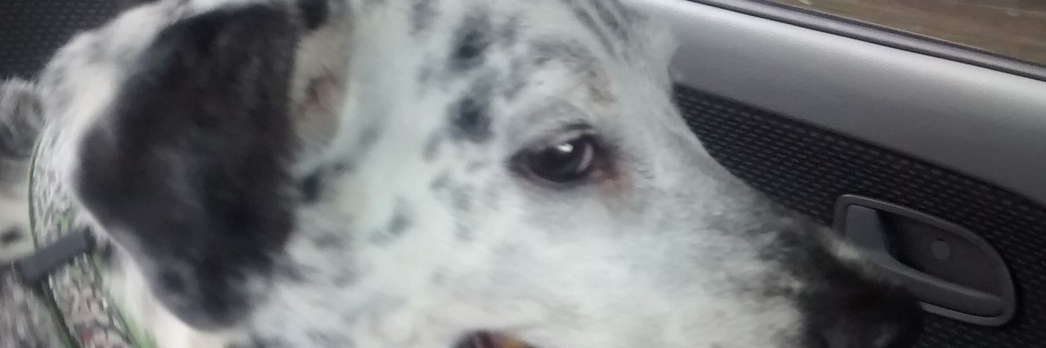 bamboolessco2's profile banner image