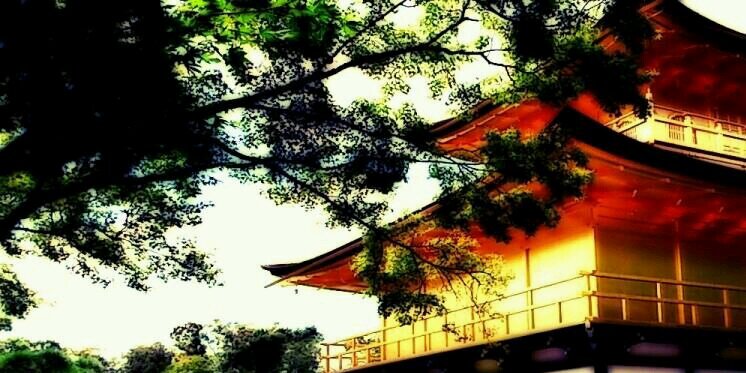 _____Iov's profile banner image