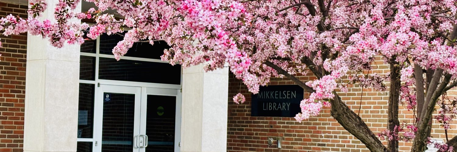 AugieLibrary's profile banner image