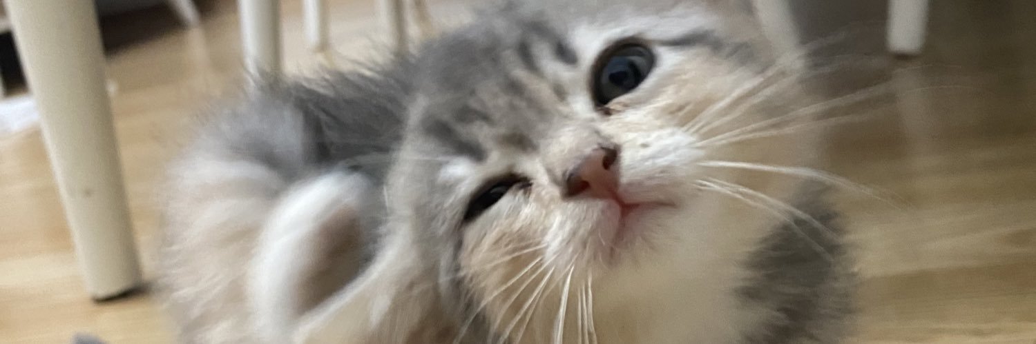 dilankarsuu's profile banner image