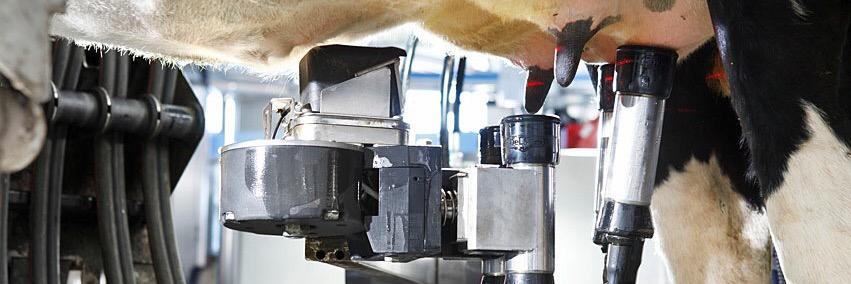 AgraiDairyMart's profile banner image