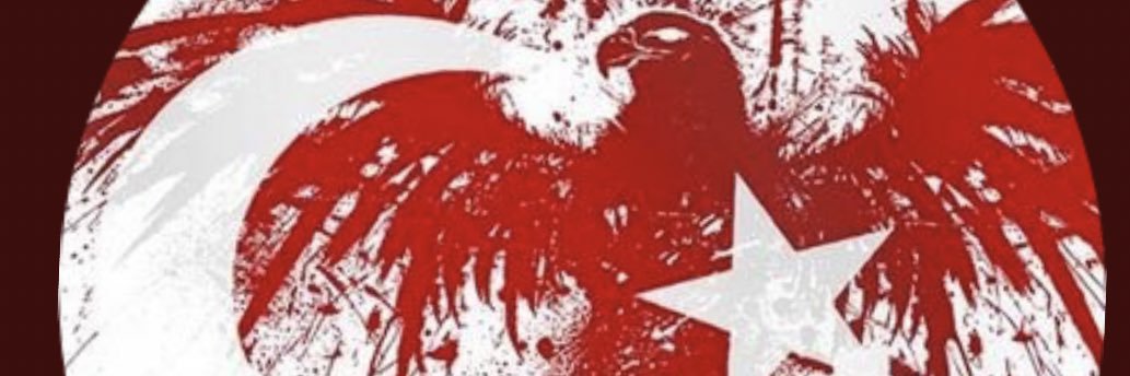 AliAlgur's profile banner image