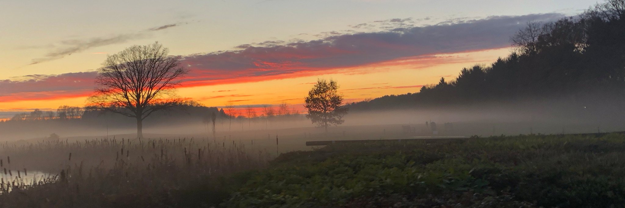 Aaron Russell banner