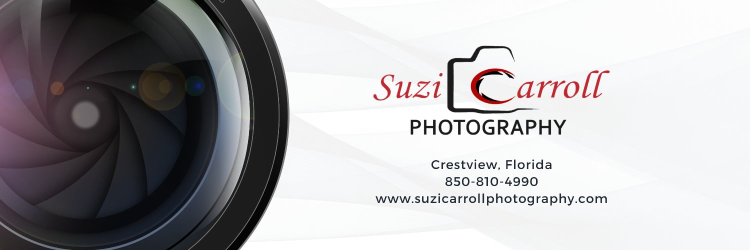 SuziQCarroll's profile banner image