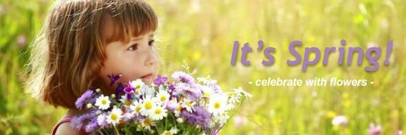 InterfloraSA's profile banner image