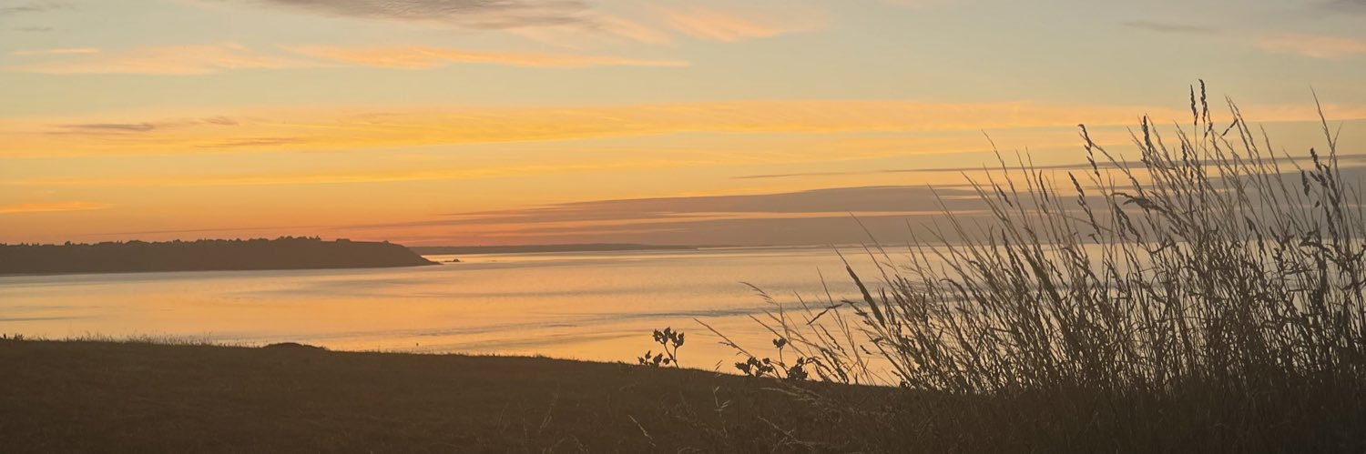 mathilde_dln's profile banner image