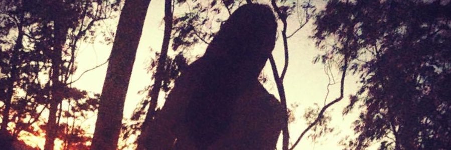 SinFraLe's profile banner image