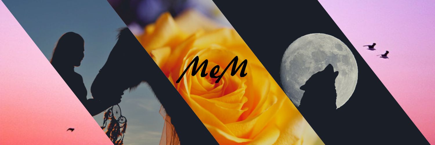 MeAriRe's profile banner image