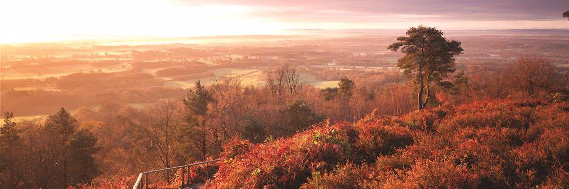 Chloe Modaberi banner