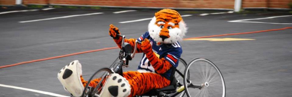 AU Adapted Sport banner