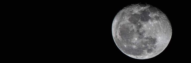 nelagial_'s profile banner image