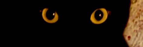 Dead Pan Nick banner