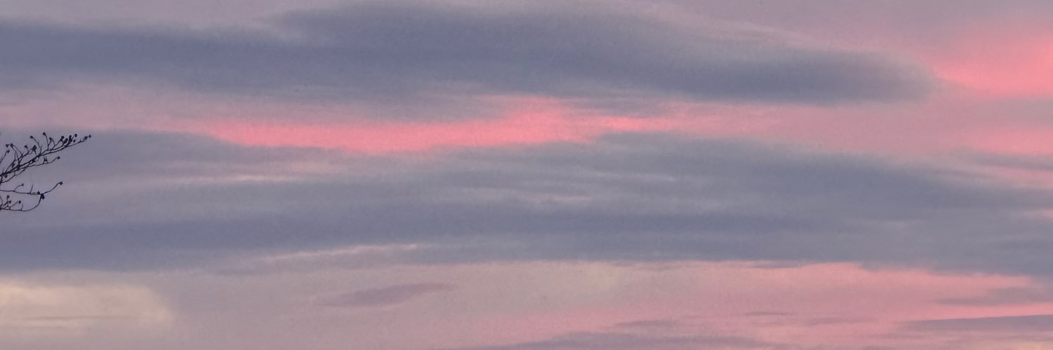 Juan-Carlos Molleda banner