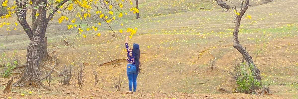 duni_mileidy's profile banner image