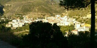 Mireia Castillo banner