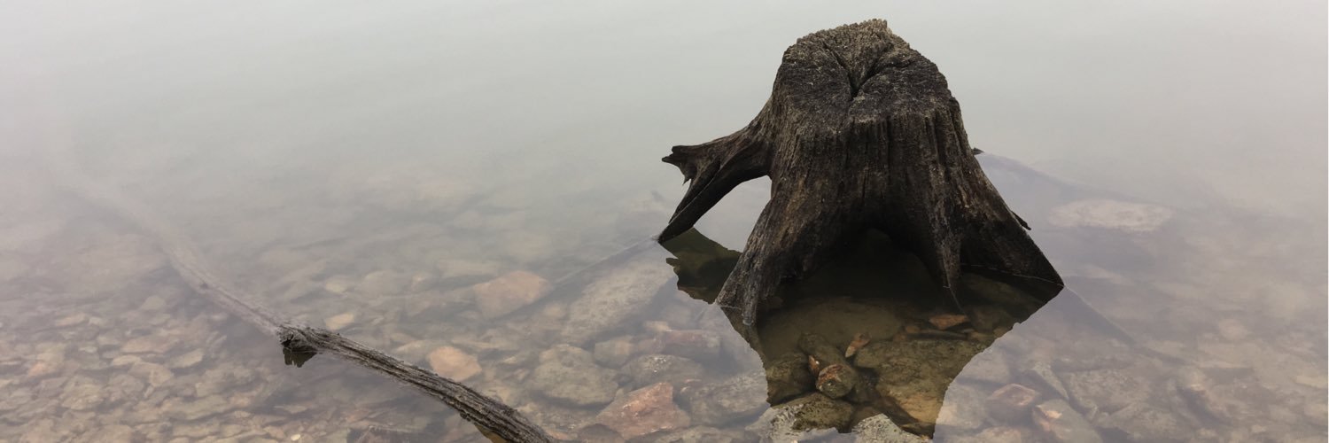 issibitz's profile banner image