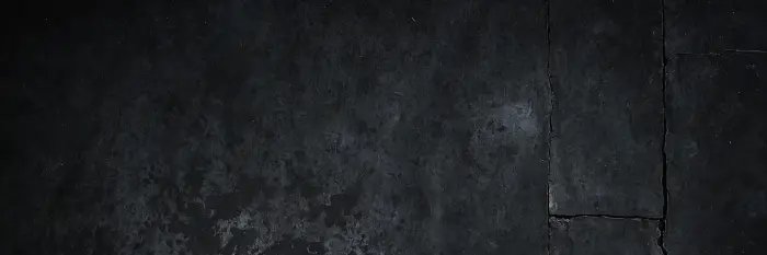 DynamaxRoberts's profile banner image
