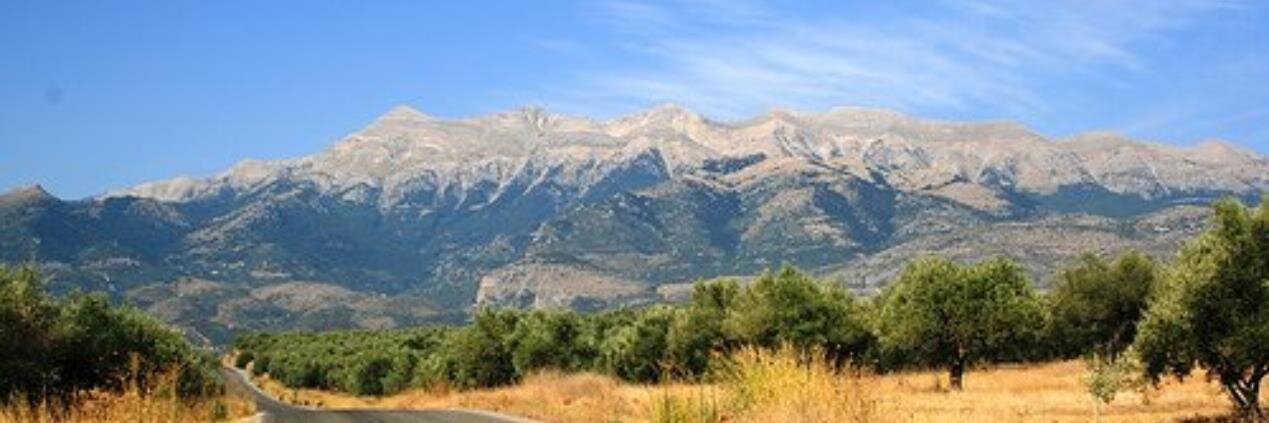 Eleni_Sparta's profile banner image