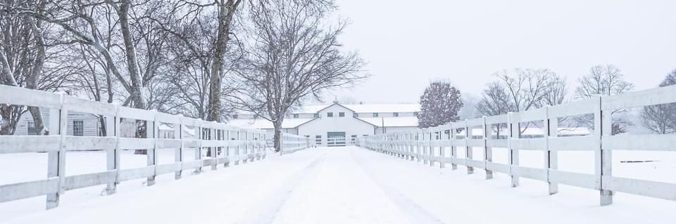 Sommer N. Grammer banner