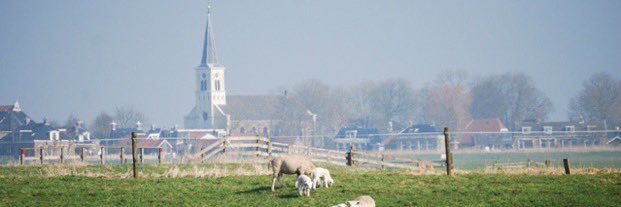 Wijnand Marchal banner