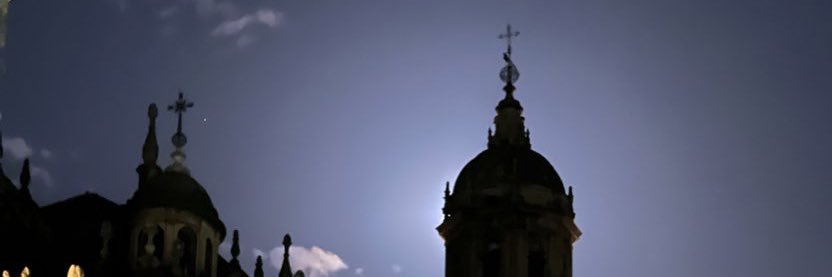 Ana Nuñez banner