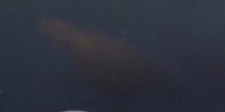 saadd511511's profile banner image