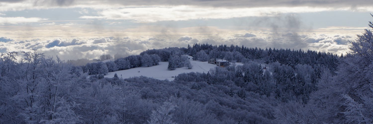 ᛊᚨᛗᚢᛇᛚ ᚻᚨᛚᛁᚠᚢᚱ banner