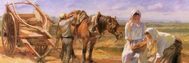 Carmen Matoses banner