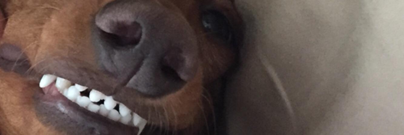 lostvxbes's profile banner image