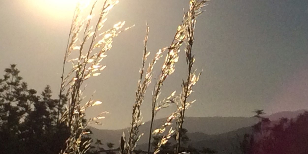 MARI SESMILO 🎗 banner
