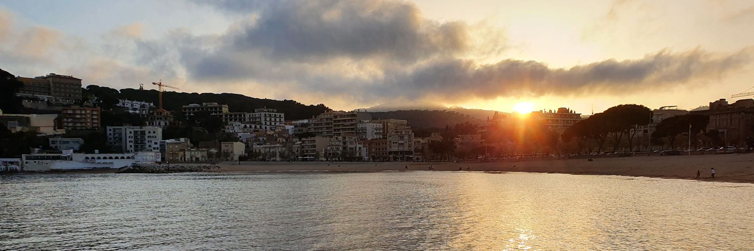 Sandra Fontanals banner