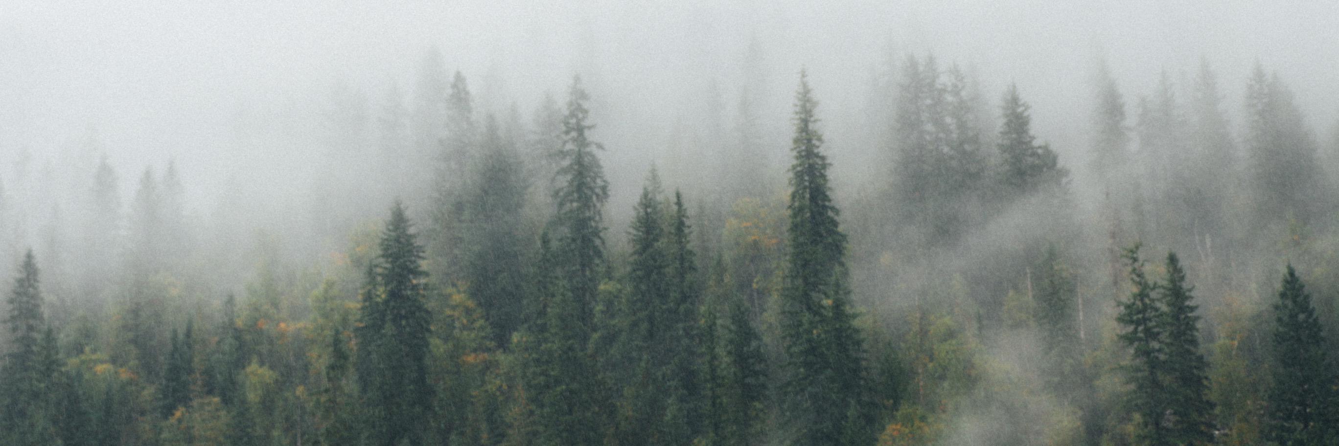 SelahDesign's profile banner image