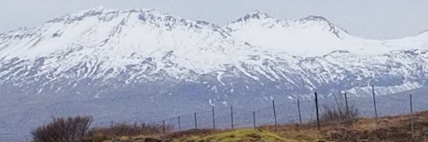 bloomsjo's profile banner image