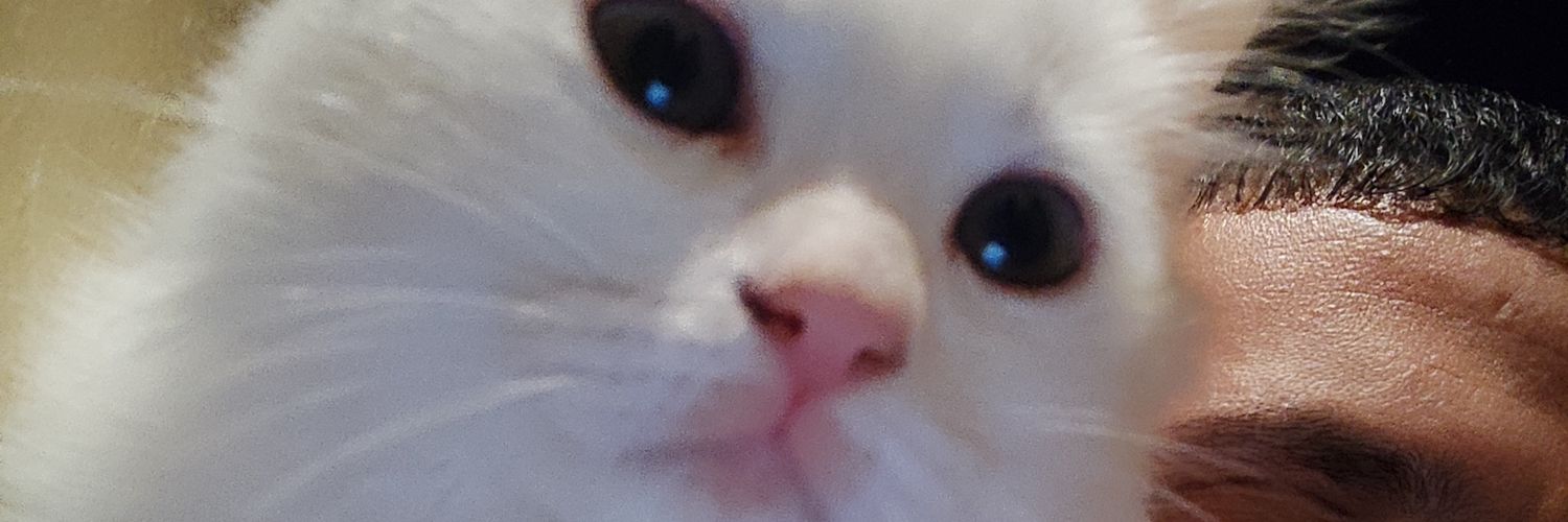 abderahemen's profile banner image