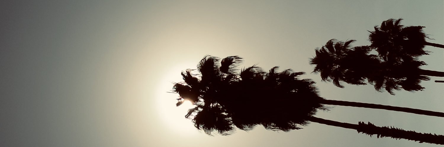 dalmiroquiroga's profile banner image