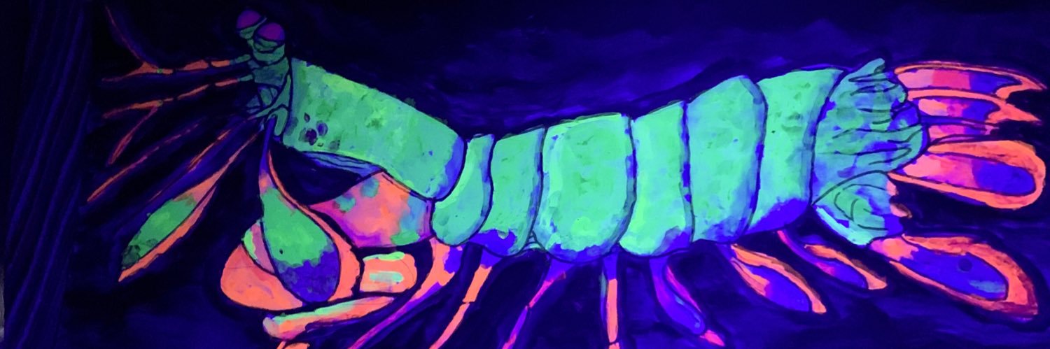 Letter-Winged Kite 🇺🇦😷🧇💉💉💉💉💉💉 banner