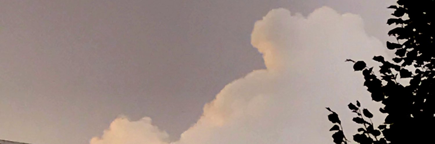 Rogue_Mel's profile banner image